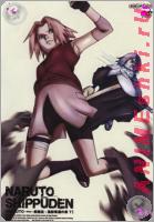 Naruto ~ Hurricane Legend - TV DVD 36-52 //  [-2] [2007] 36-52
